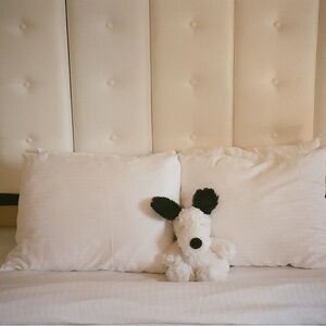 Meet your Posher, M.